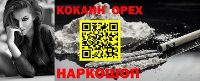 скорость Бердск