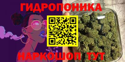 apvp Ачхой-Мартан