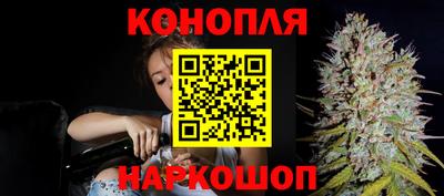 apvp Ачхой-Мартан