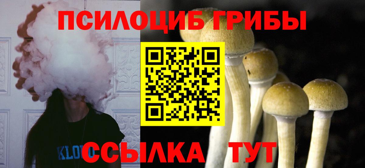Гудермес  Псилоцибиновые грибы Cubensis  Вход с VPN  Галлюциногенные грибы Psilocybe 